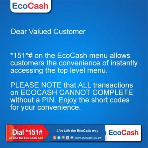 Worried you may forget your EcoCash PIN and fail to access.